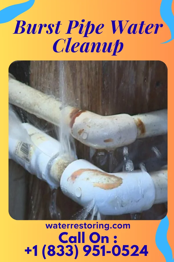 Burst Pipe Water Cleanup in New Hempstead, NY