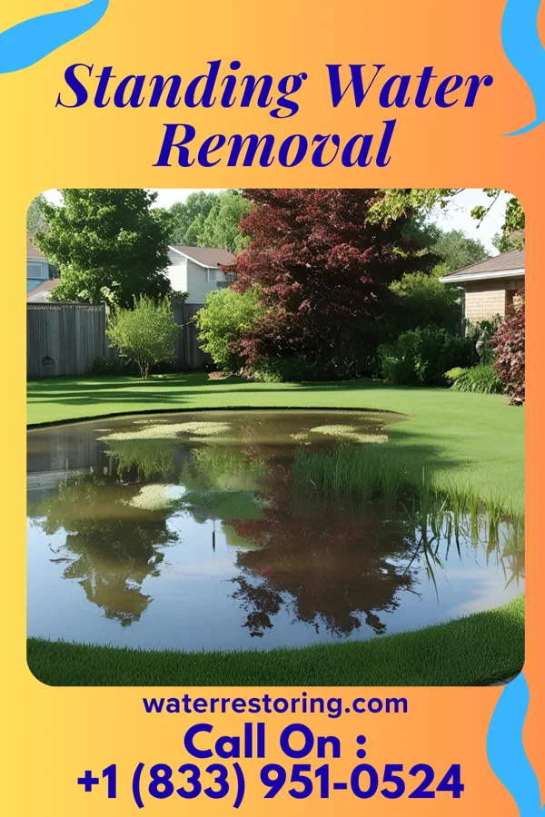 Standing Water Removal in New Hempstead, NY